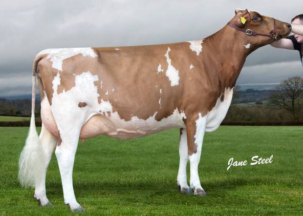 Hilltown Oblique daughter Butterbesley Obliques May