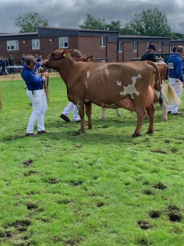 Great Yorkshire Show 2021