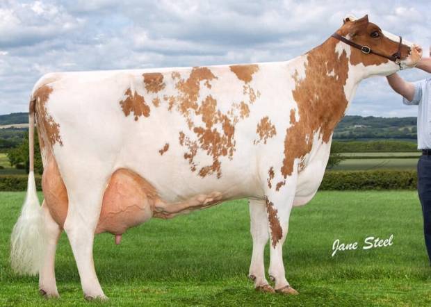 Future Sire Alert - Moathouse Monopoly