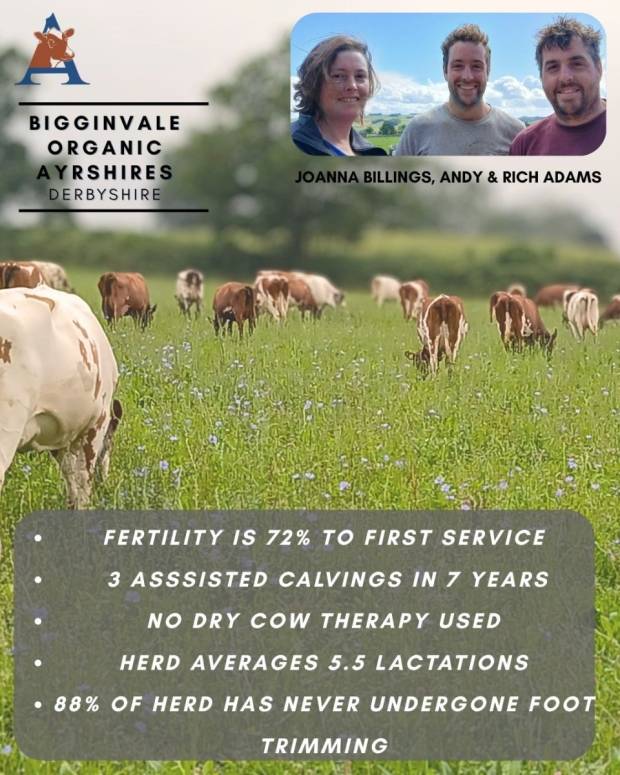 Breeder Testimonials