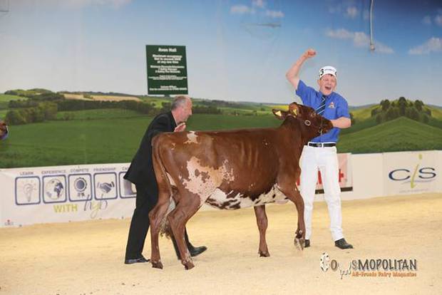 Champion - East Church Prime Time Blissful (De La Plaine Prime) - H M Sayer & Son