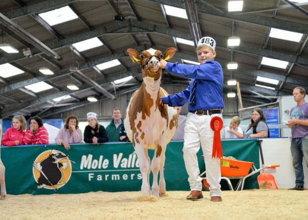 All Breeds All Britain Calf Show Schedule and Entry Form