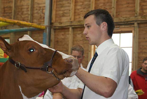 Champion Handler