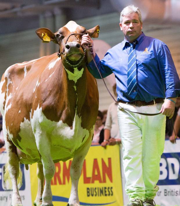 Blaise Tomlinson - This year's judge at the National Ayrshire Show