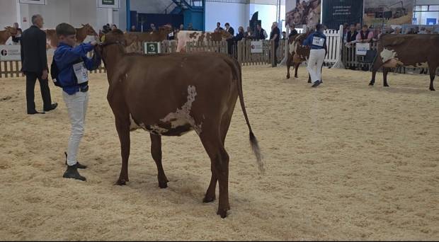 Butterbesley Calcutta Prospect
