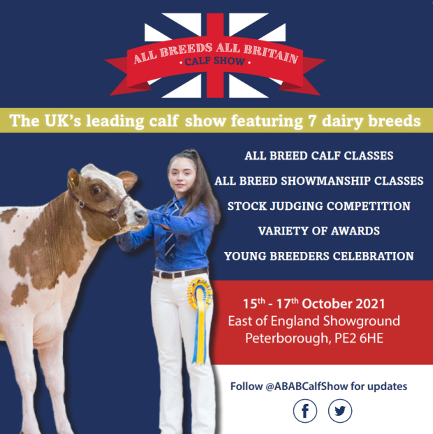 All Breeds all Britain Calf Show