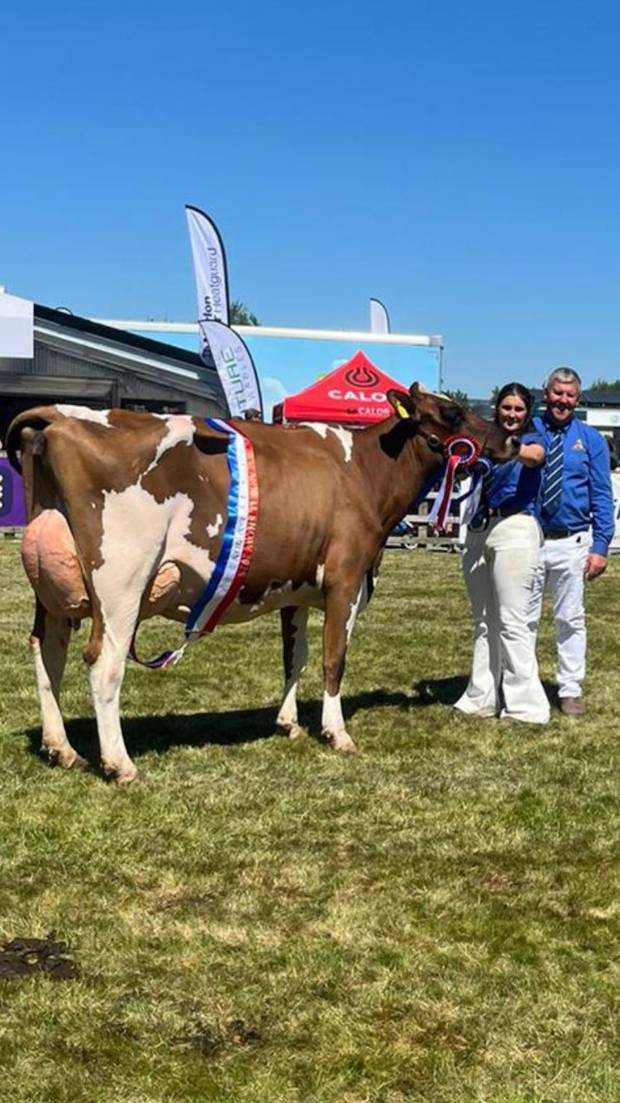 Balmoral Show Champion 2025 - Carnell Barby Doll 13 sired by Brieryside Hail