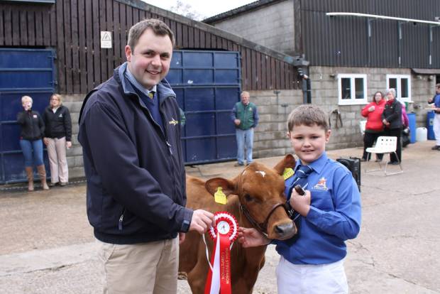 Showmanship Novice Winner  - Charlie Bolderson