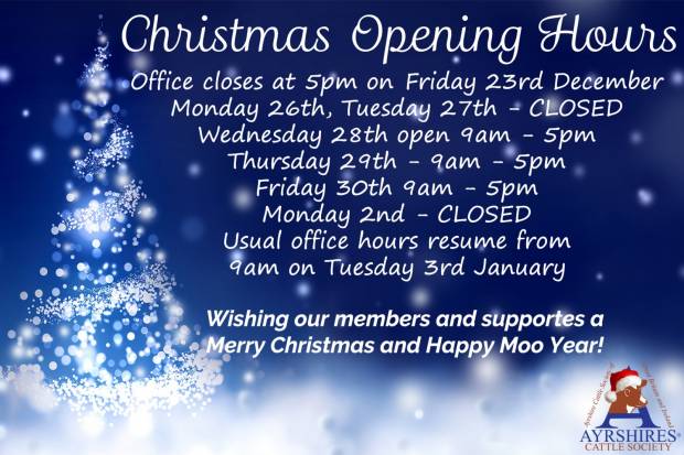 Christmas Opening Hours 