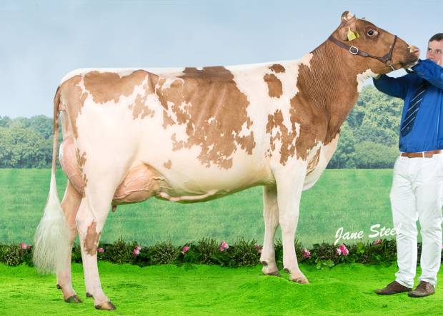 Cuthill Towers Fidelity Miranda VG 88