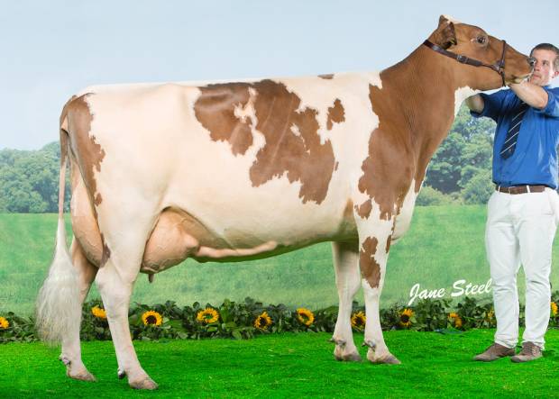 Cuthill Towers Radar Ray 13 EX 93