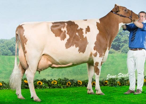 Cuthill Towers Radar Ray 13 EX 93