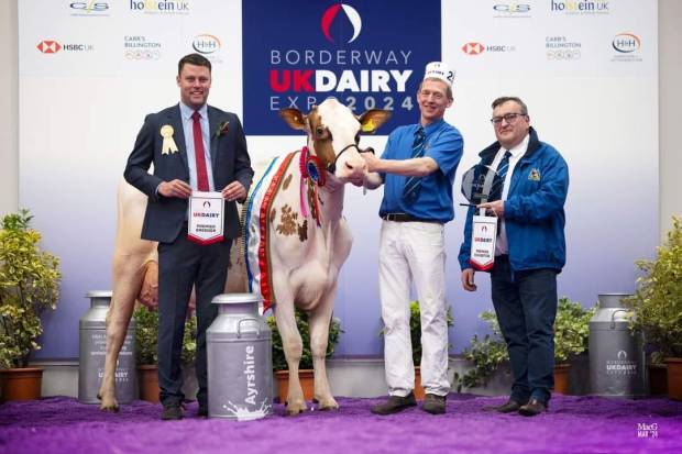 Borderway UK Dairy Expo