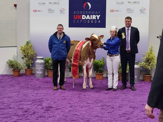 Junior Champion - Richaven Hail Lucky