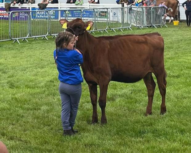 Halmyre Urr Lizzie 3 sired by Brieryside Hail who was 1st placed maiden heifer.
