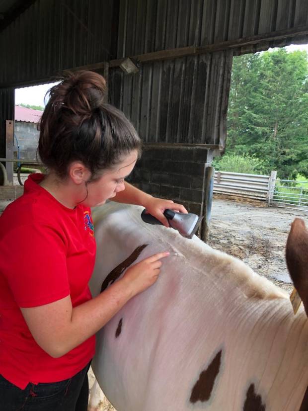 Beca doing her final clip to Gilwen Roselinda 2