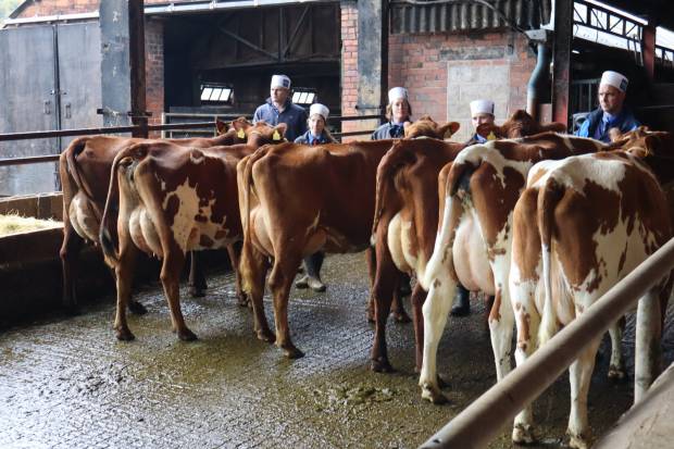 Tessvale Judging Seminar