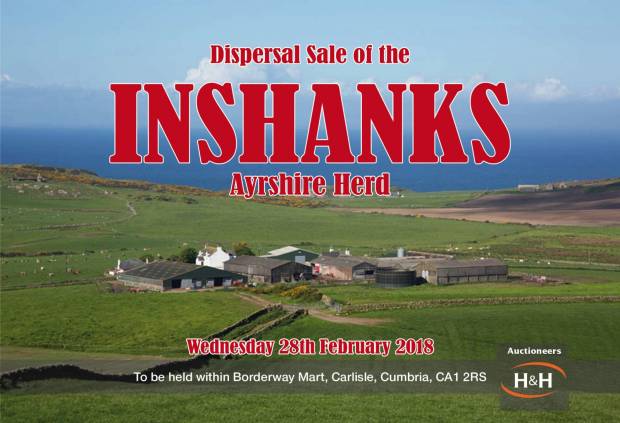 Inshanks herd dispersal catalogue now available