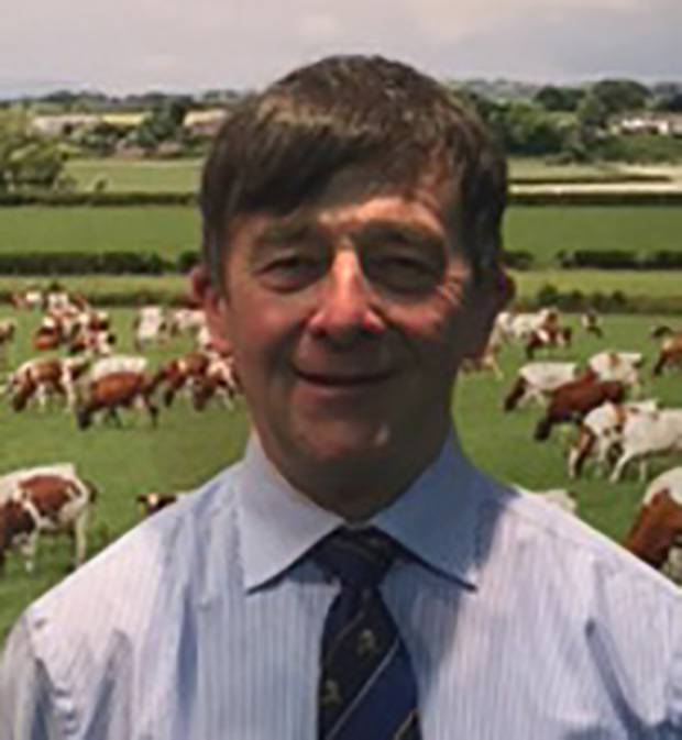 New Director Joins Cattle Services