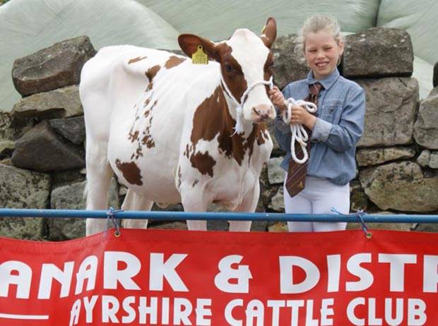 First Prize Junior Handler - Lucy Graham with her first prize junior calf and Reserve Champion calf -  Swaites Poly Ann (Swaites Dynamite) from J Adamson & Son