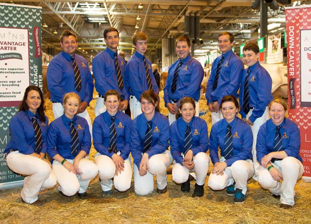 Ayrshire Young Breeders