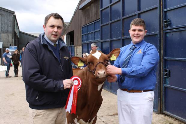 Showmanship Intermediate Winner  - Matthew McLean