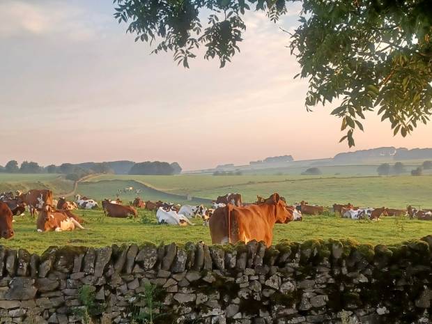 ALL BRITAIN AND IRELAND PHOTOGRAPHIC COMPETITION RESULTS CLASS N, SCENIC