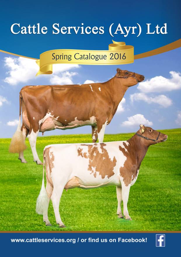 Cattle Services (Ayr) Latest Catalogue