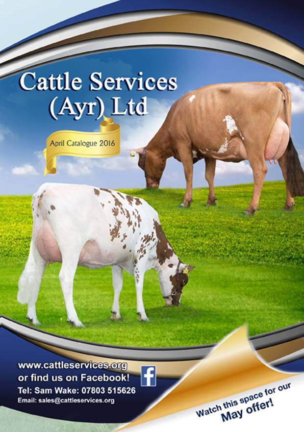 New Cattle Services Brochure Out Now & Watch This Space For Our Latest May Offer