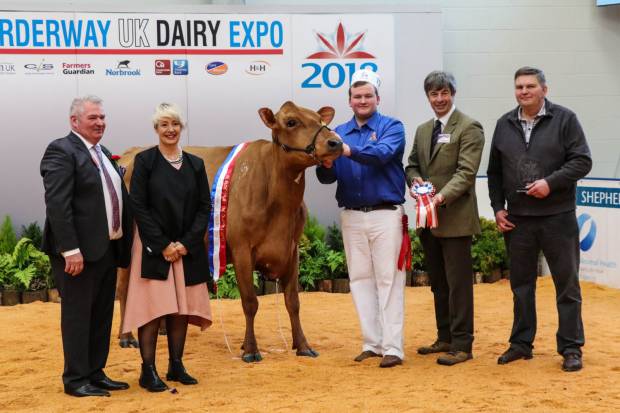 UK Dairy Expo Champion presentation