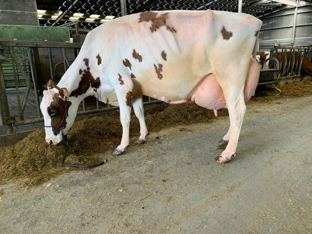 EX96 