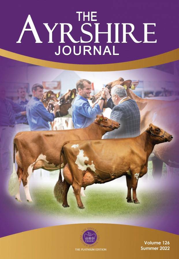 Summer Journal now available to view online