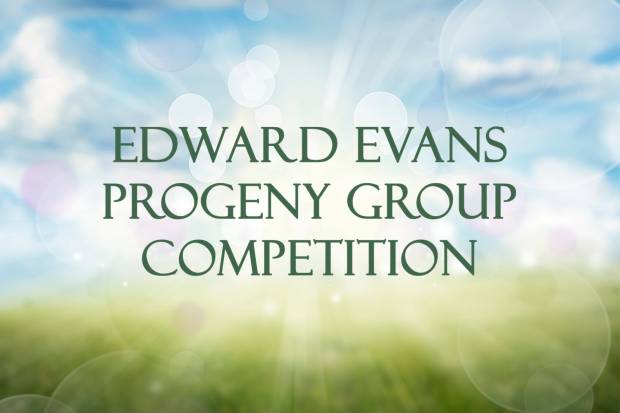 Bull Progeny Competition - The Edward Evans Progeny Group Competition