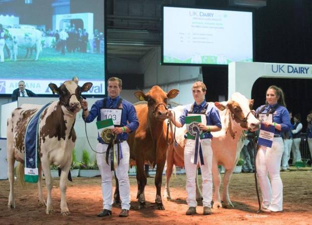 2017 National Ayrshire Show Winners