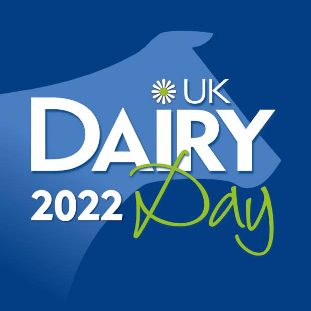 National Ayrshire Show at UK Dairy Day