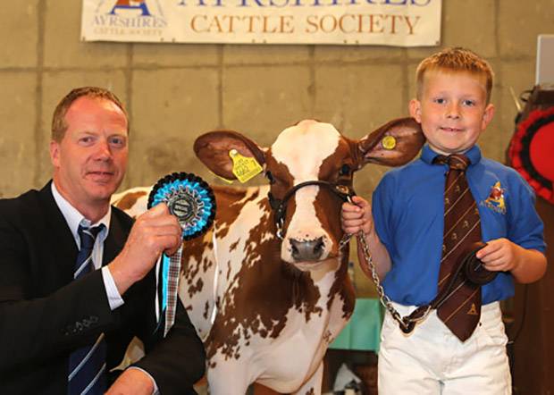 Six-year-old Cameron Carson, Ballymena, won the novice showmanship class and was honourable mention handler. He was congratulated by Peter Berresford. Picture by Jane Steel.