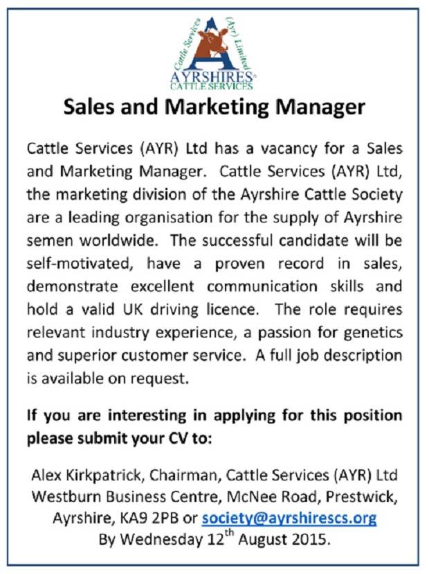 Position Of A Sales And Marketing Manager