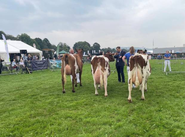 Westmorland Show