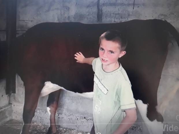 William Honeybun with his calf Butterbesley Lieutenants Violet