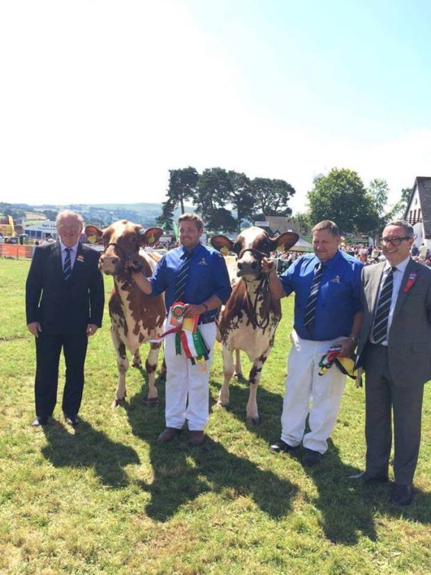 Willhome Ayrshires Are Awarded The Interbreed Pairs Championship At This Year's Royal Welsh Show