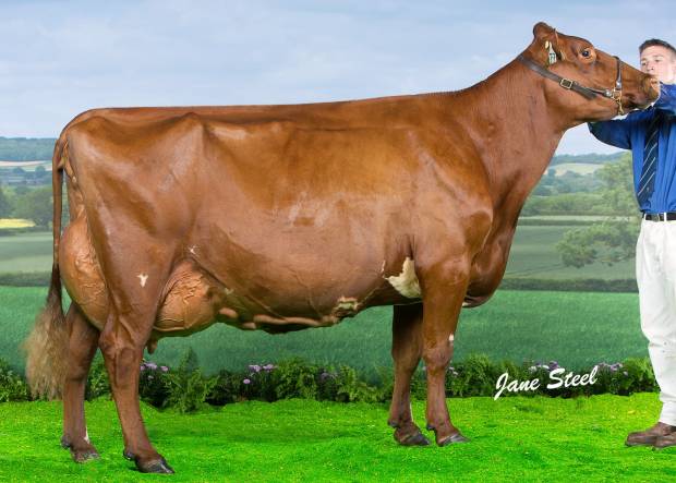 Horseclose Joanna EX 94 (3)