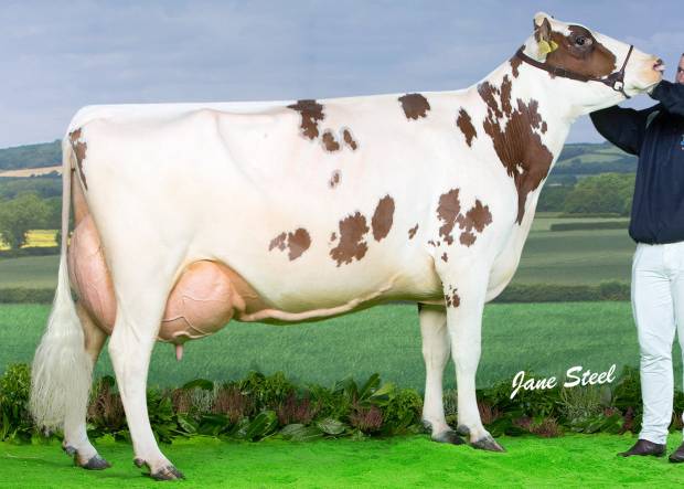 Cuthill Towers Crown Ray EX 91
