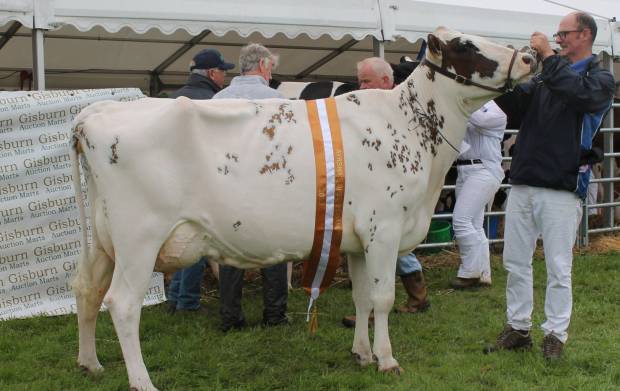 Royal Lancashire Show 2023