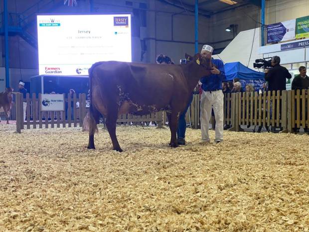 South West Dairy Show