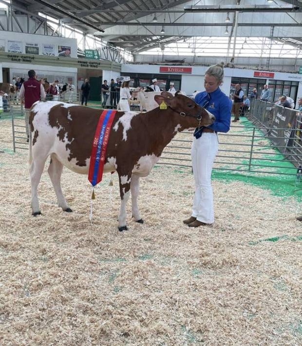 Exeter Calf Show