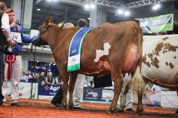 National Ayrshire Show 2023