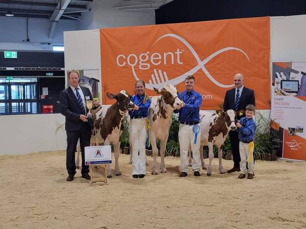 ABAB 2023 Ayrshire Calf Show