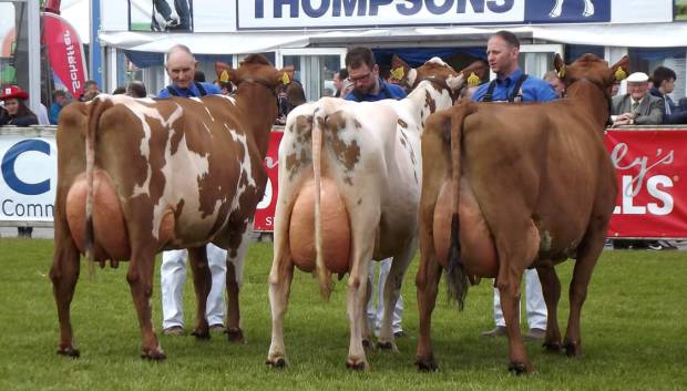 Royal Balmoral Show 2018