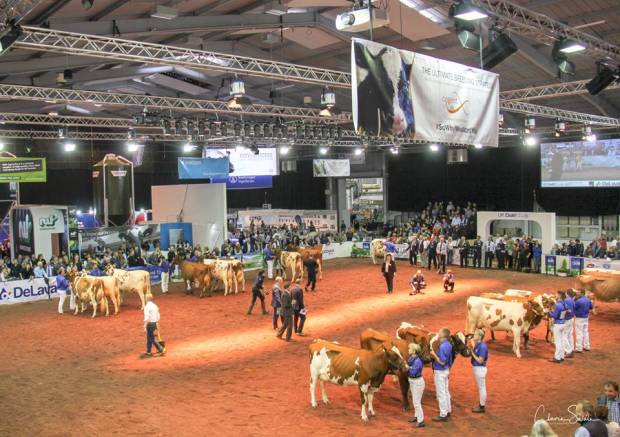 Large crowds view the judging of the Ayrshire Breeders Groups