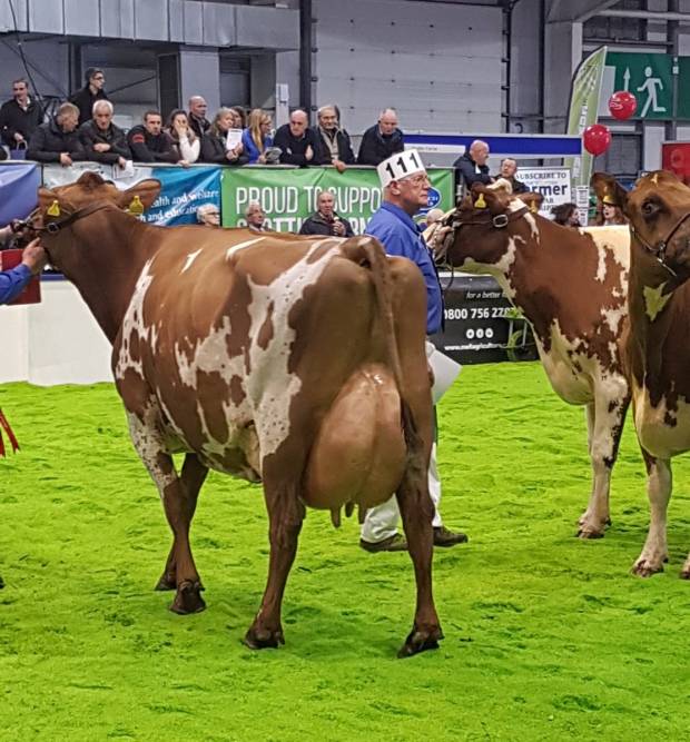 Agriscot 2018 results